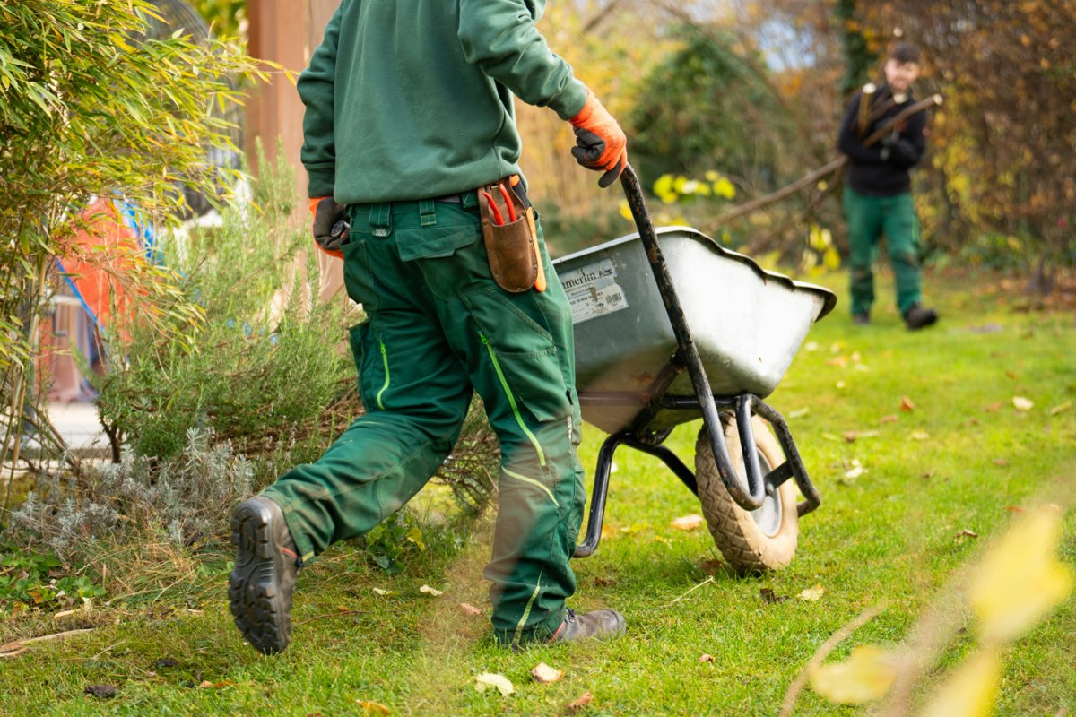 Garten- und Landschaftspflege Neustadt an der Weinstraße – L&N Dienstleistungen