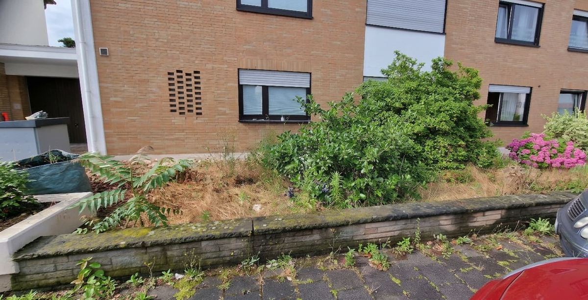 Gartenpflege Projekt 1 – Vorher